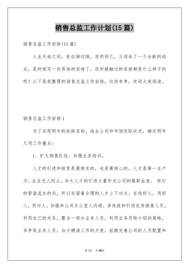 销售总监工作计划15篇例文