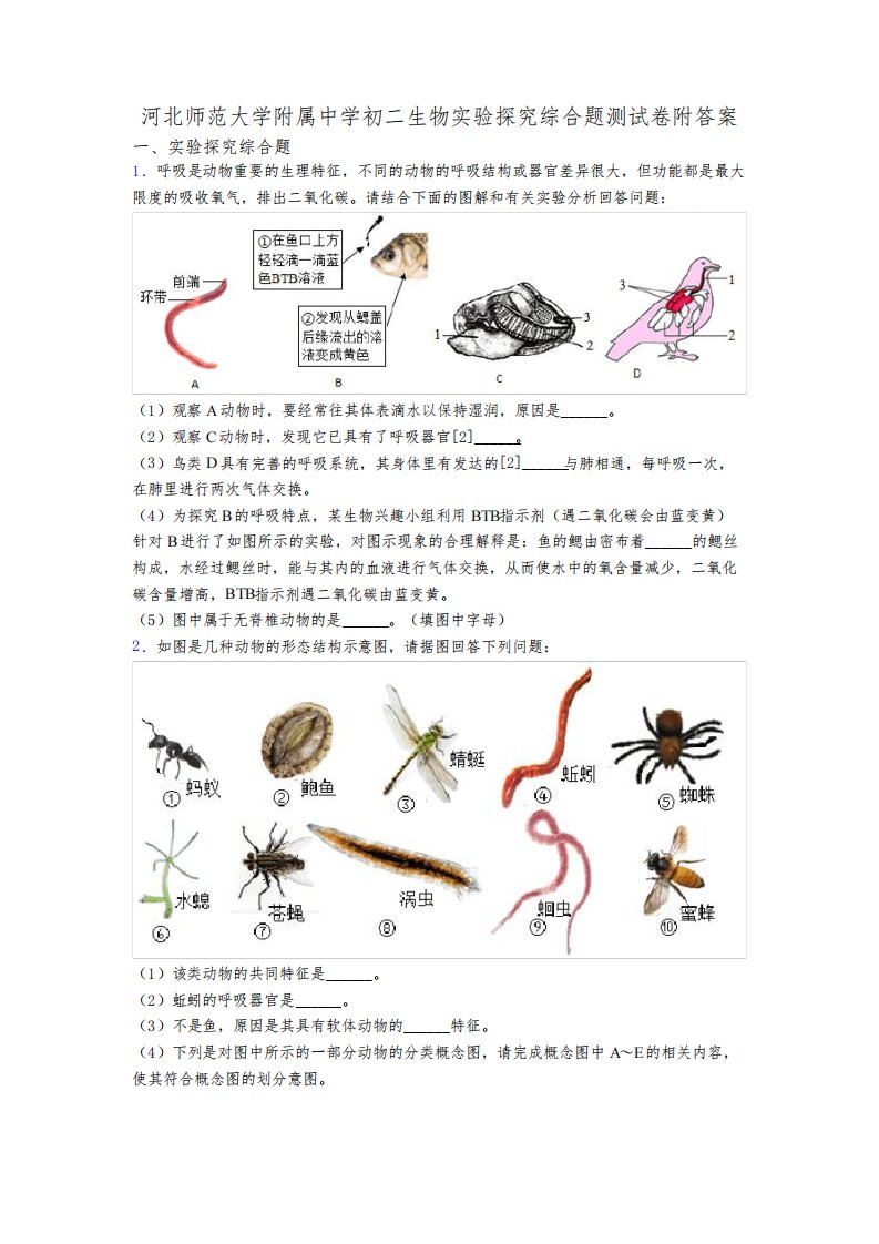 河北师范大学附属中学初二生物实验探究综合题测试卷附答案