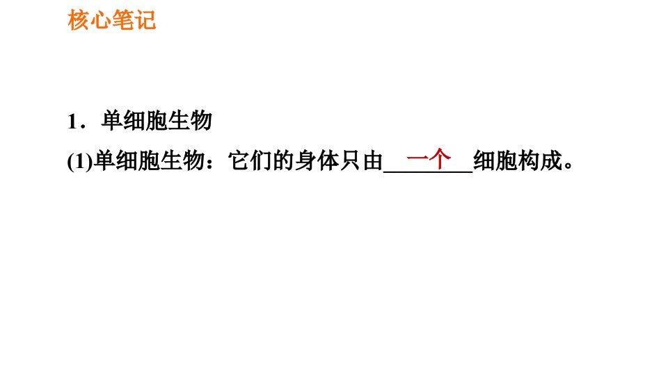 人教版七年级上册生物习题课件第二单元2.2.4单细胞生物