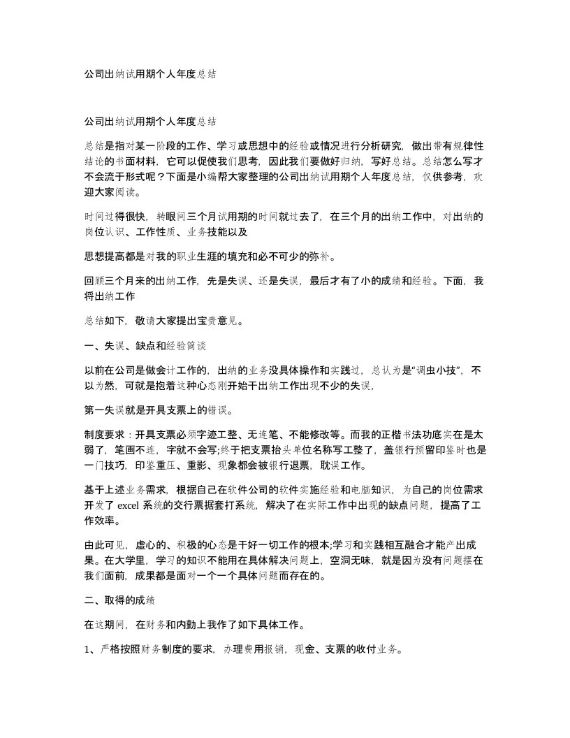 公司出纳试用期个人年度总结