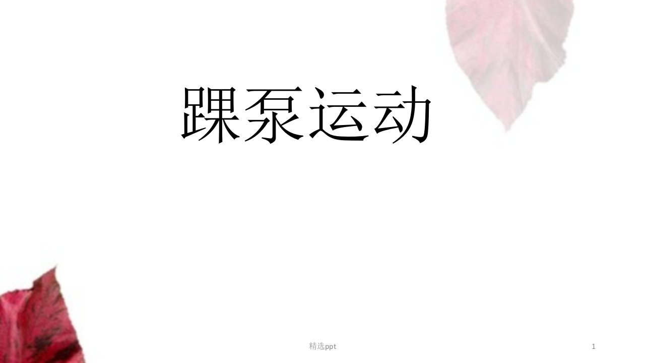 踝泵运动课件