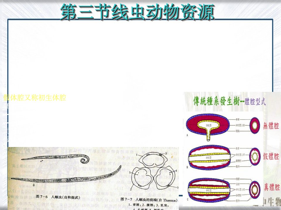 《线虫动物资源》