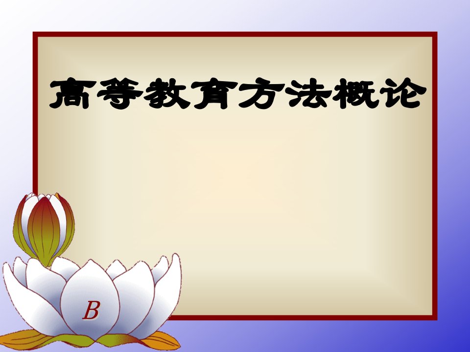 高等教育方法概论