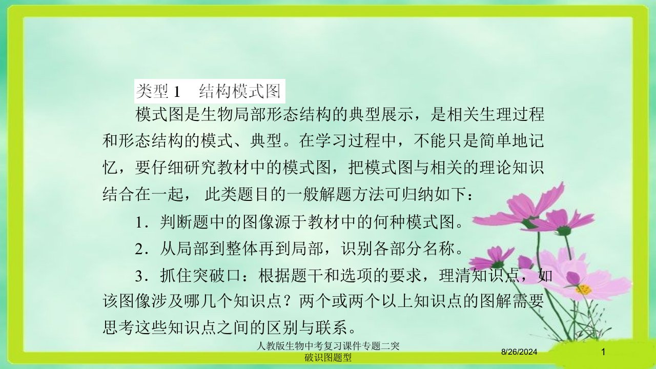 人教版生物中考复习课件专题二突破识图题型