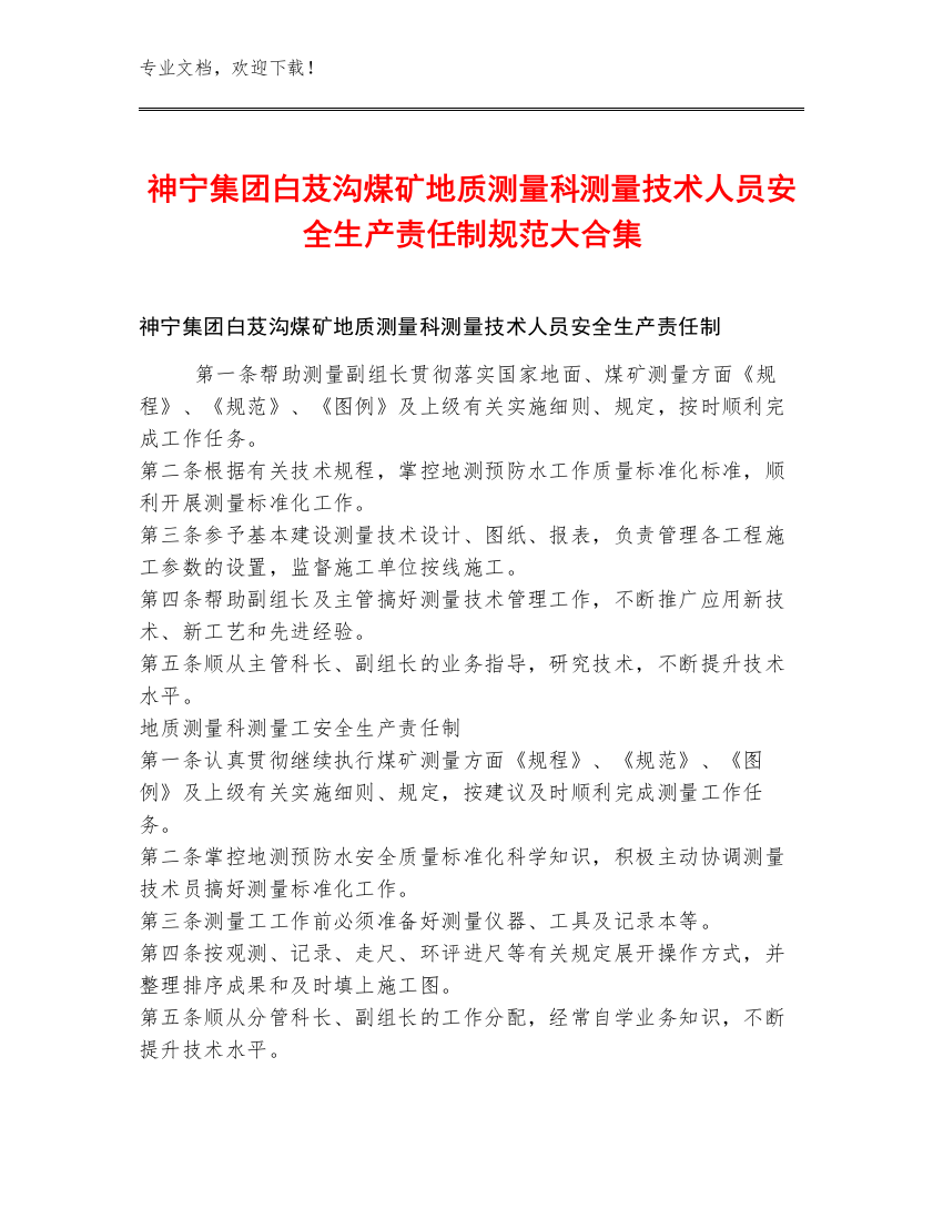 神宁集团白芨沟煤矿地质测量科测量技术人员安全生产责任制规范大合集