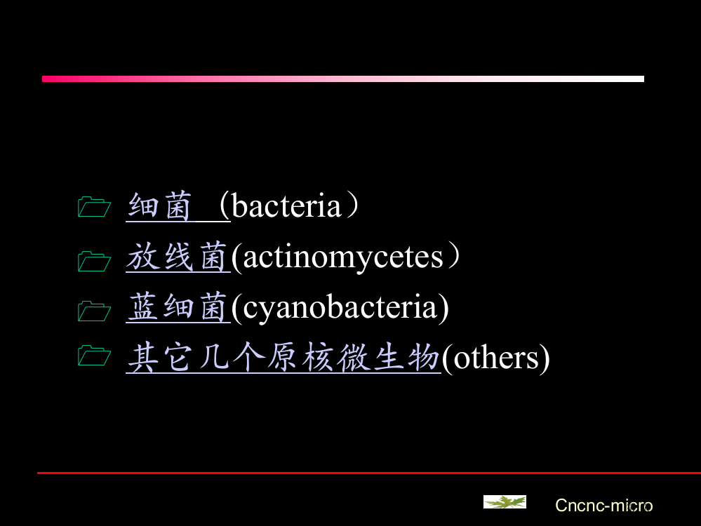 微生物学原核生物