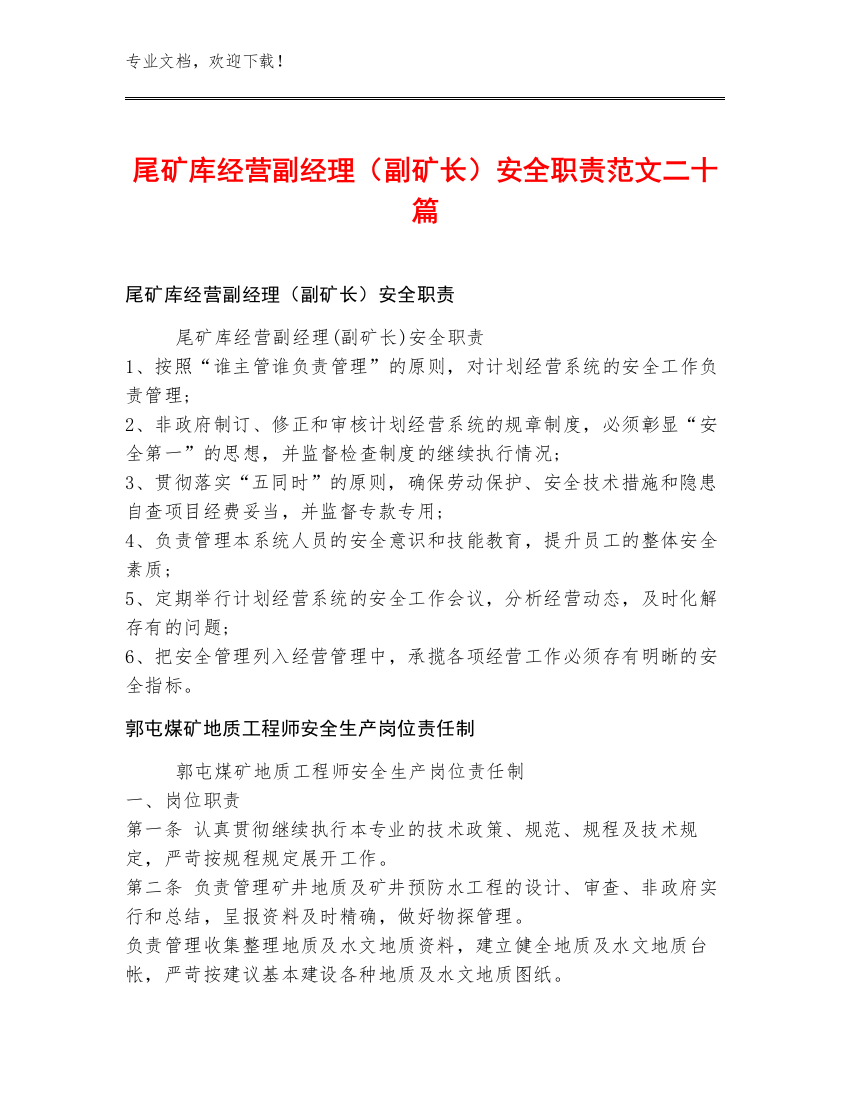 尾矿库经营副经理（副矿长）安全职责范文二十篇