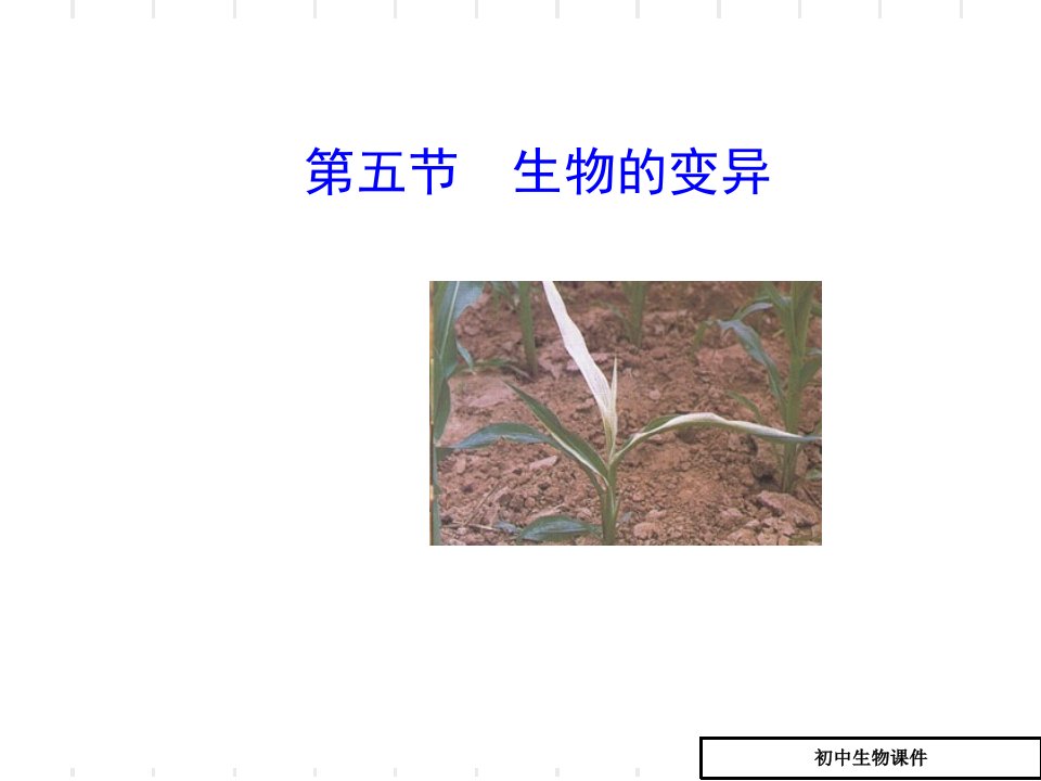 生物的变异课件八年级市公开课一等奖市赛课获奖课件