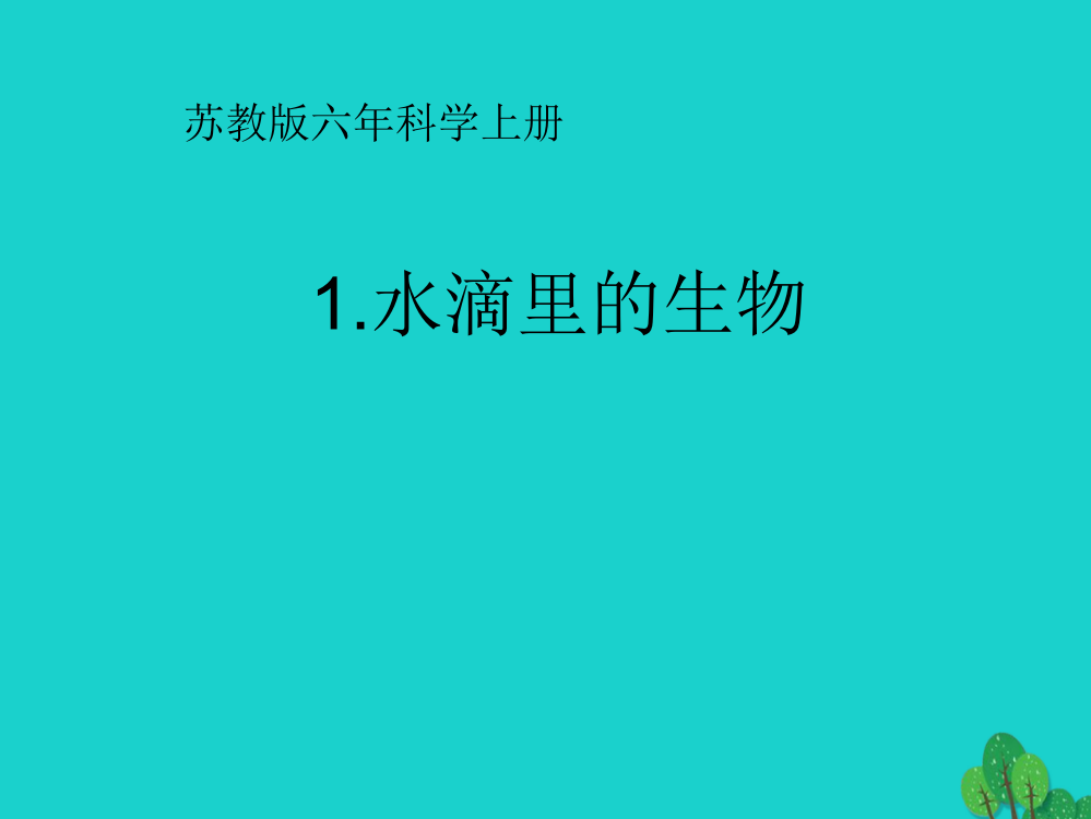 六年级科学上册水滴里的生物课件3苏教版