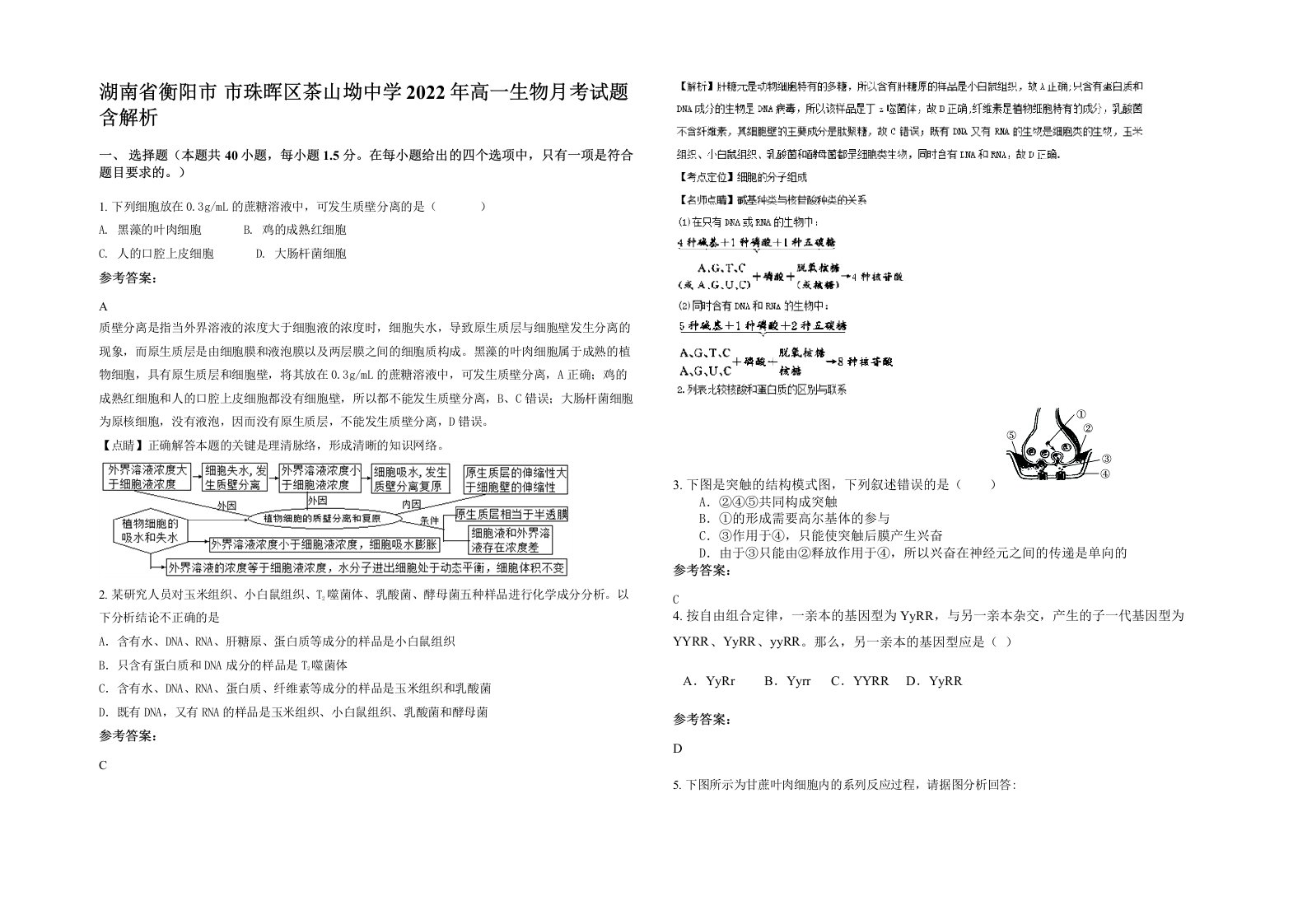 湖南省衡阳市市珠晖区茶山坳中学2022年高一生物月考试题含解析