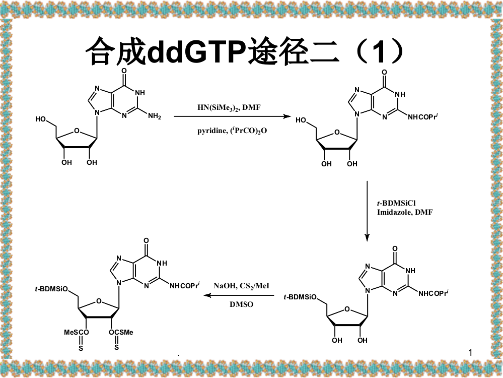 天津大学生物化学LectureCarbohydrateMetabolism