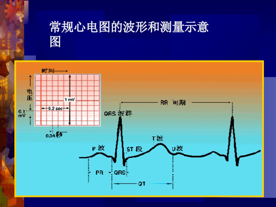 最新心电图的诊断和分析PPT课件