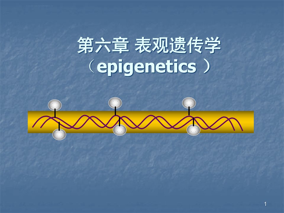 第六章-表观遗传学ppt课件