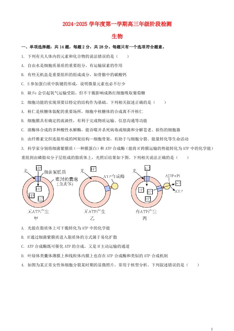 江苏省海安市2024