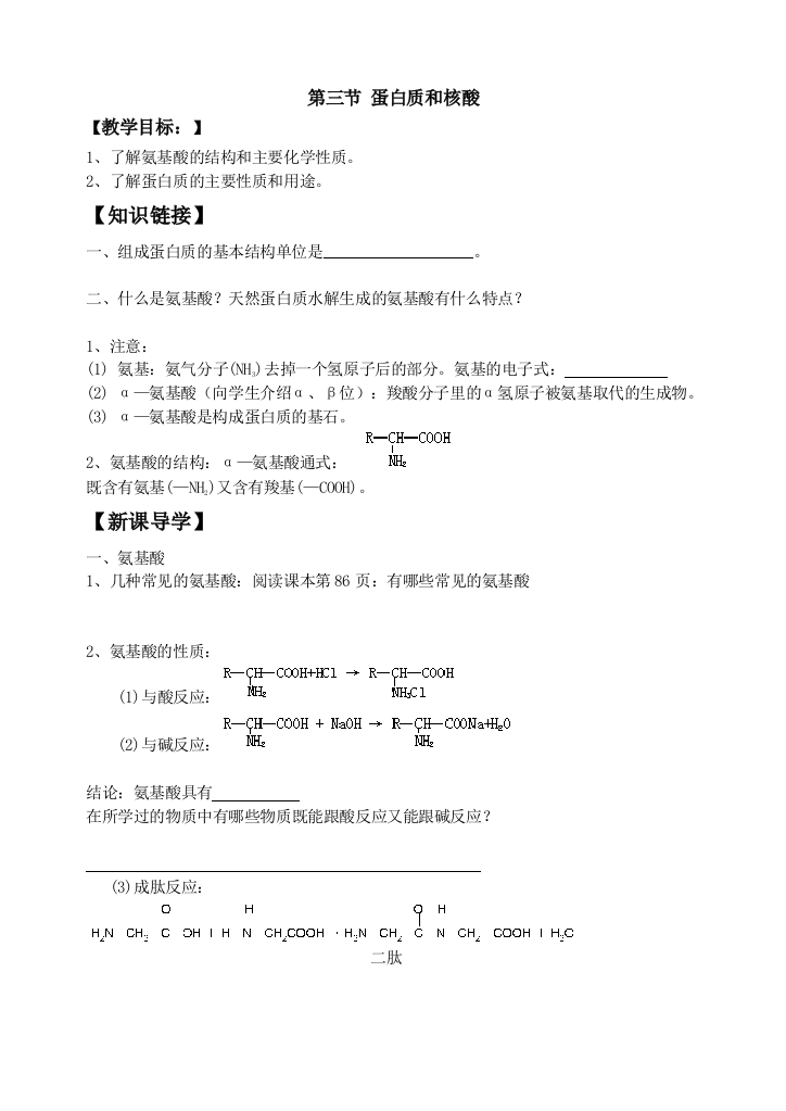 43蛋白质和核酸学案