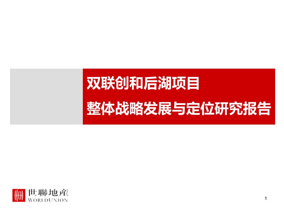 年武汉双联创和后湖项目整体战略发展与定位研究报告