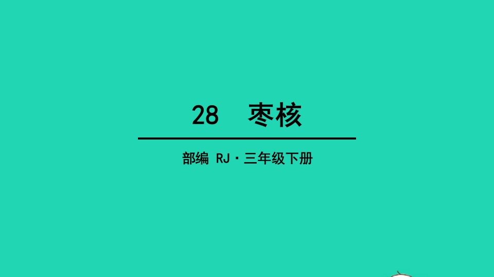 三年级语文下册第八单元28枣核教学课件新人教版