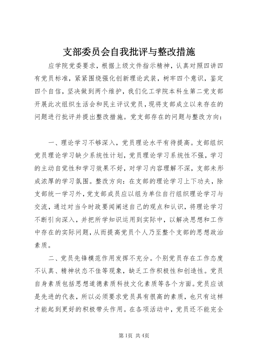 支部委员会自我批评与整改措施