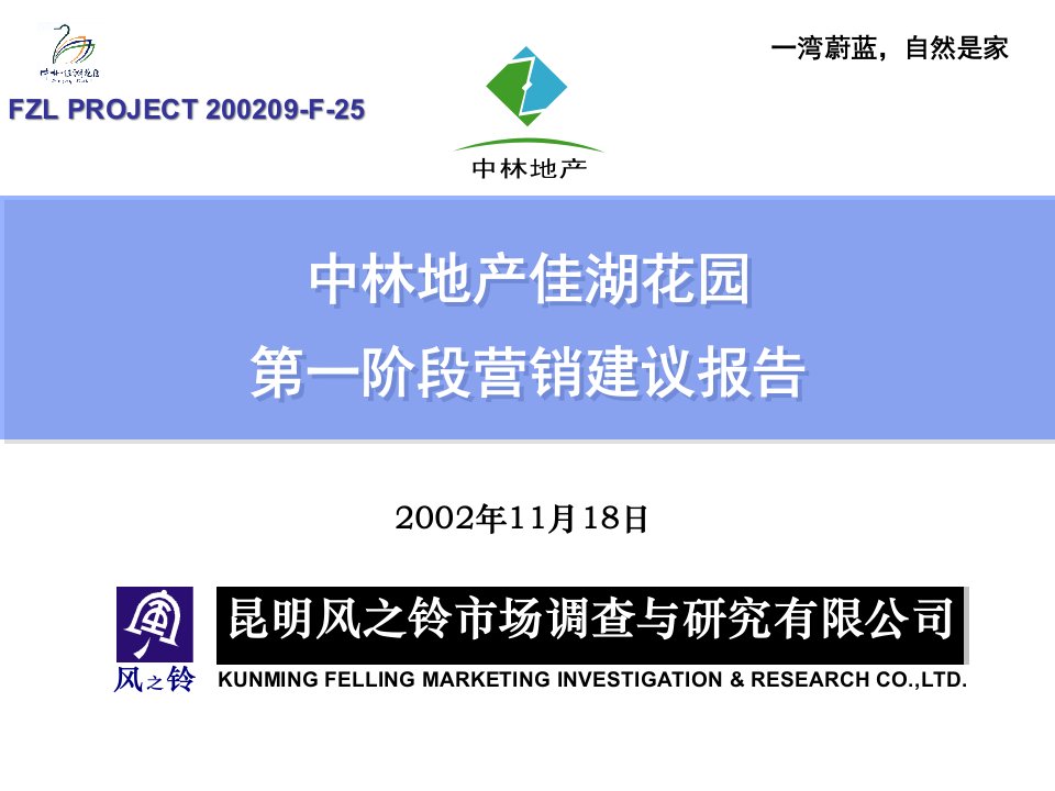 [精选]中林地产佳湖花园第一阶段营销建议报告