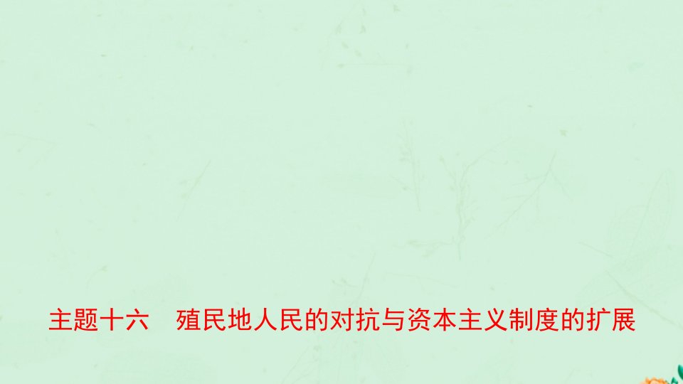 河南省2021年中考历史一轮复习世界近代史主题十六殖民地人民的反抗与资本主义制度的扩展课件