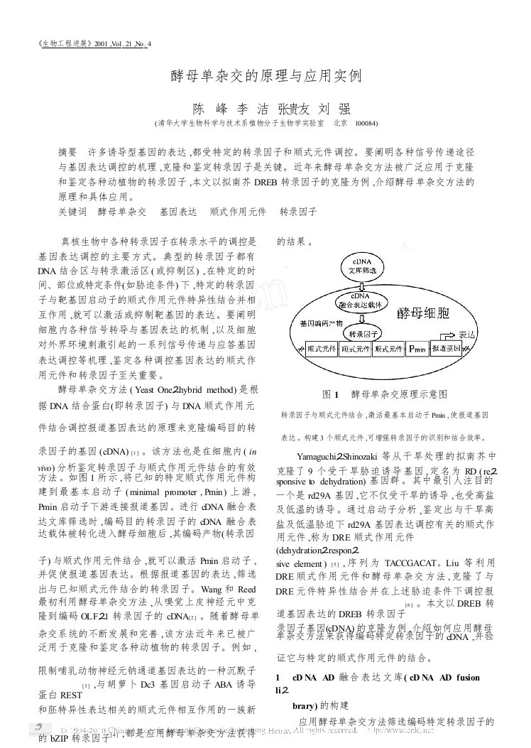 酵母单杂交的原理与应用实例