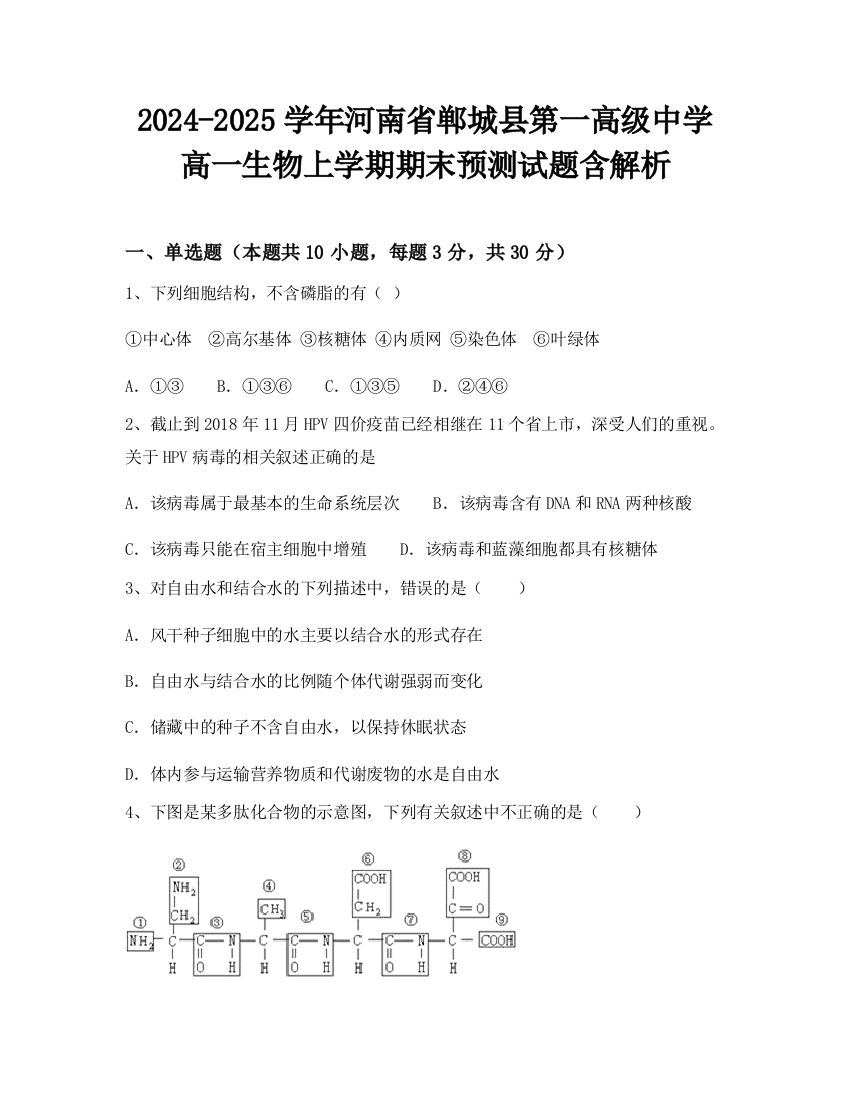 2024-2025学年河南省郸城县第一高级中学高一生物上学期期末预测试题含解析