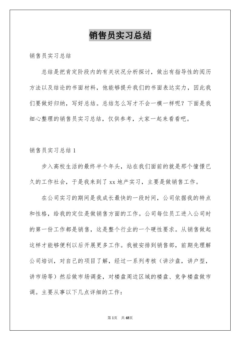 销售员实习总结范本