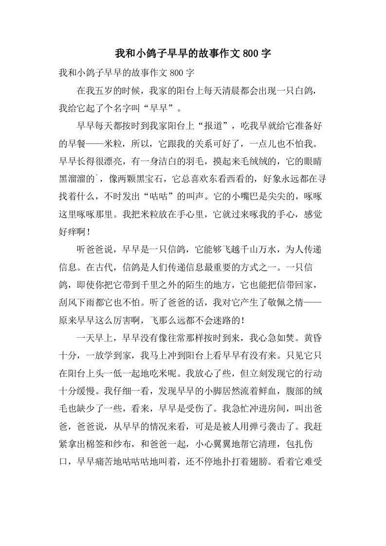 我和小鸽子早早的故事作文800字