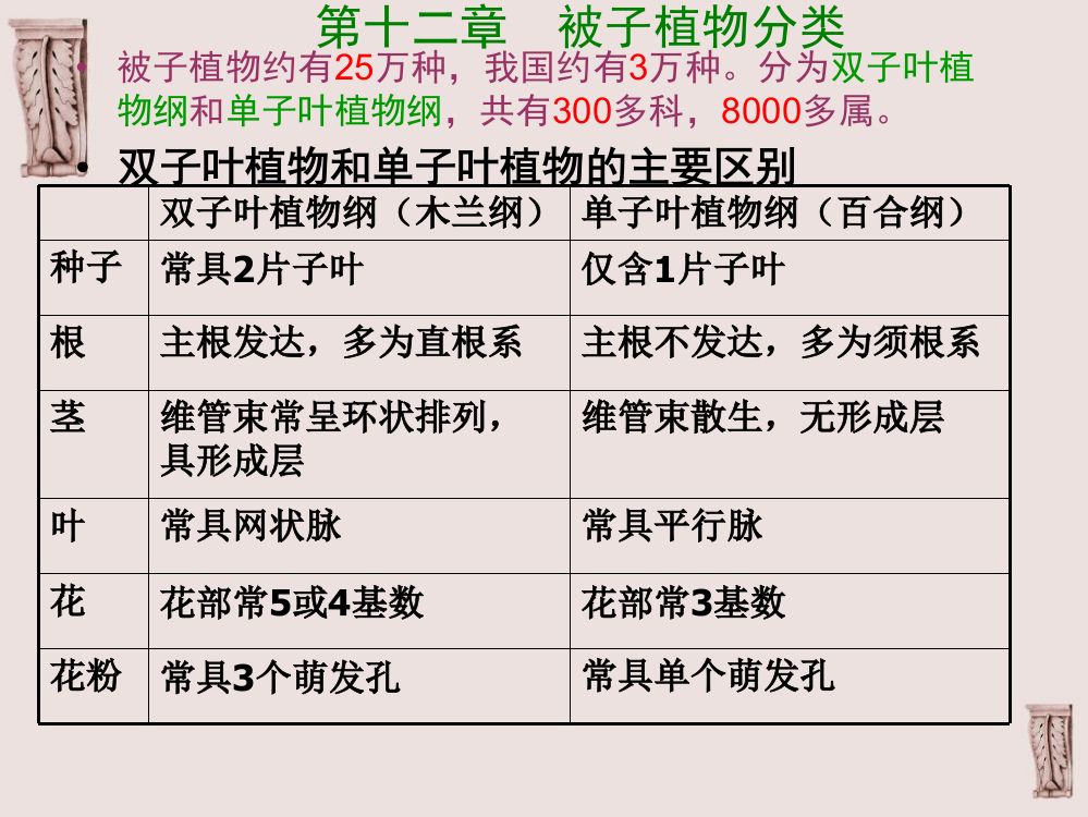 被子植物分类1ppt课件