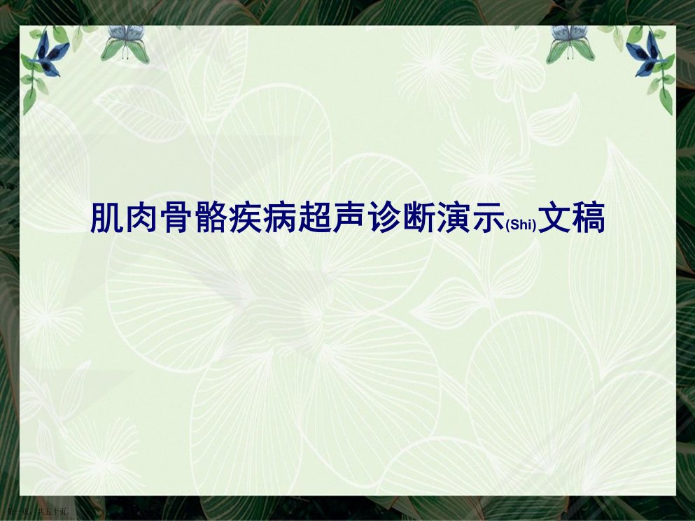 肌肉骨骼疾病超声诊断演示文稿