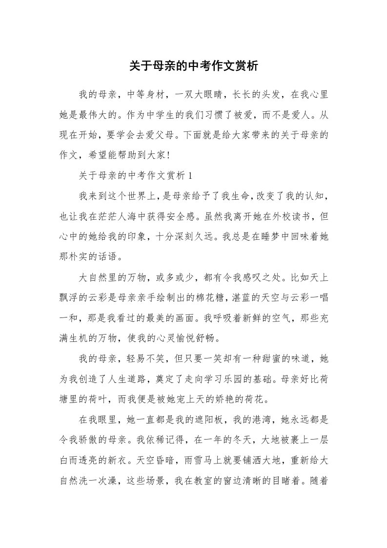 关于母亲的中考作文赏析