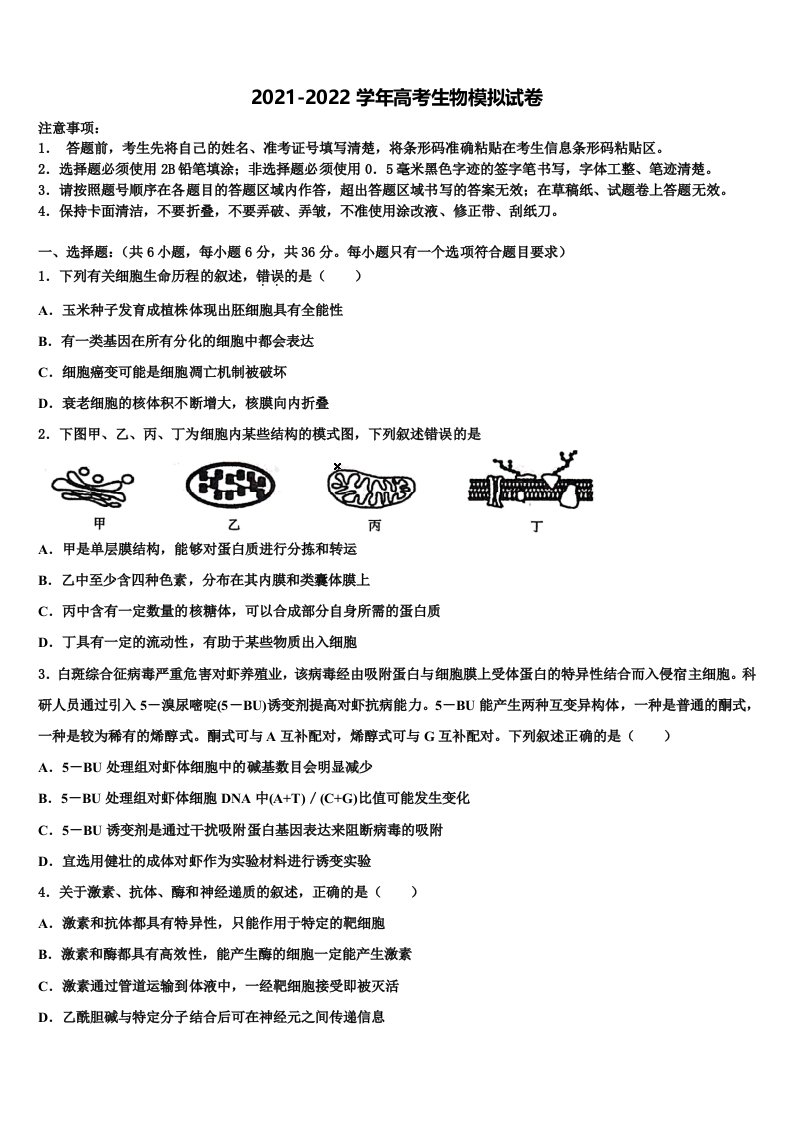 2022年甘肃省白银市靖远第一中学高三第二次调研生物试卷含解析