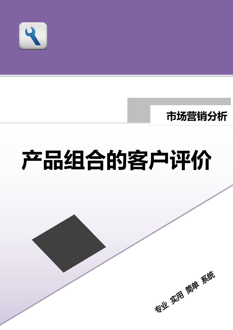 精品文档-产品组合的客户评价