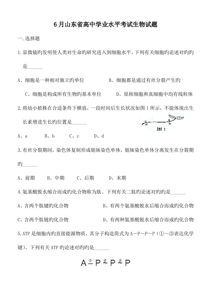 2023年山东省夏季普通高中学业水平考试会考生物试题及答案精较版