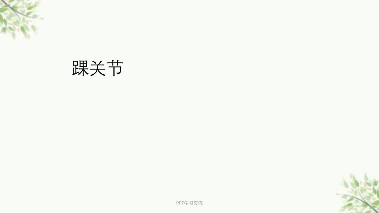 踝关节实用康复课程医学ppt课件