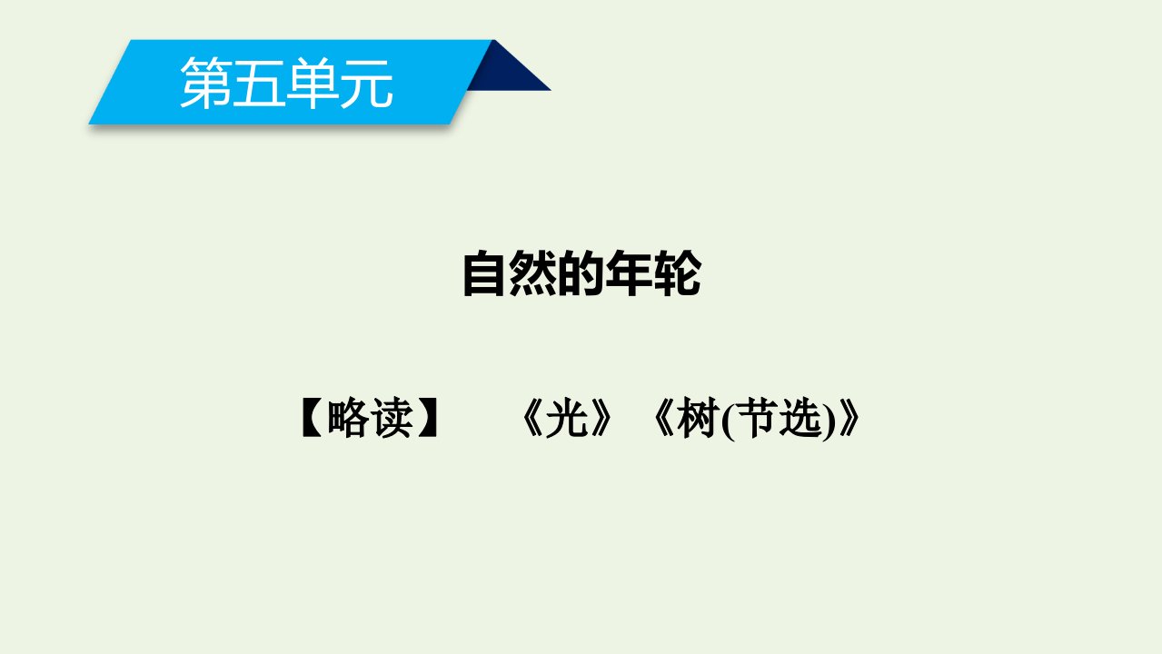 高中语文散文部分第5单元自然的年轮略读光树节选课件新人教选修中国现代诗歌散文欣赏