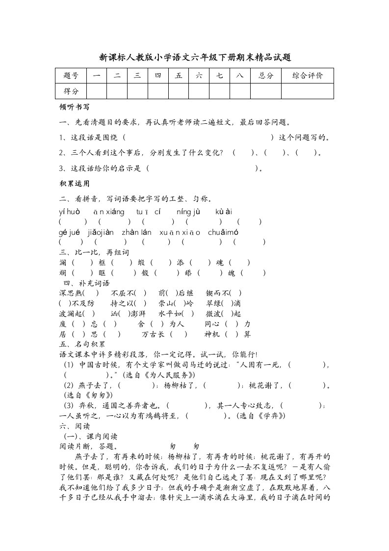 新课标人教版小学语文六年级下册期末精品试题