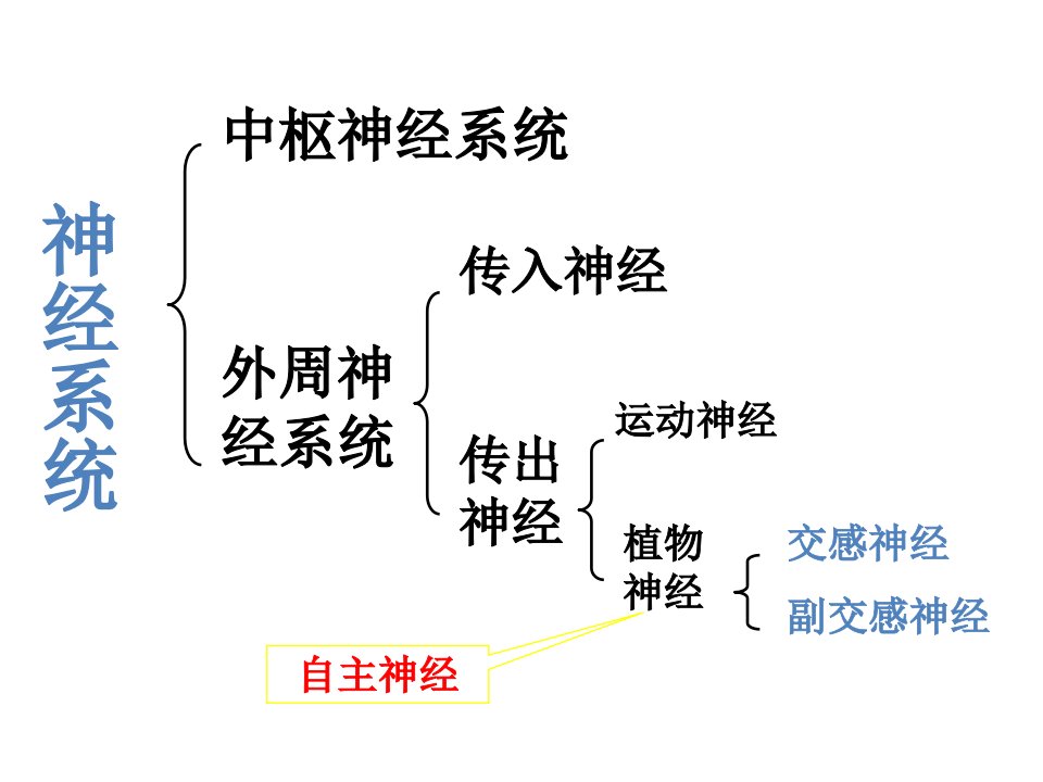 中枢神经系统药理