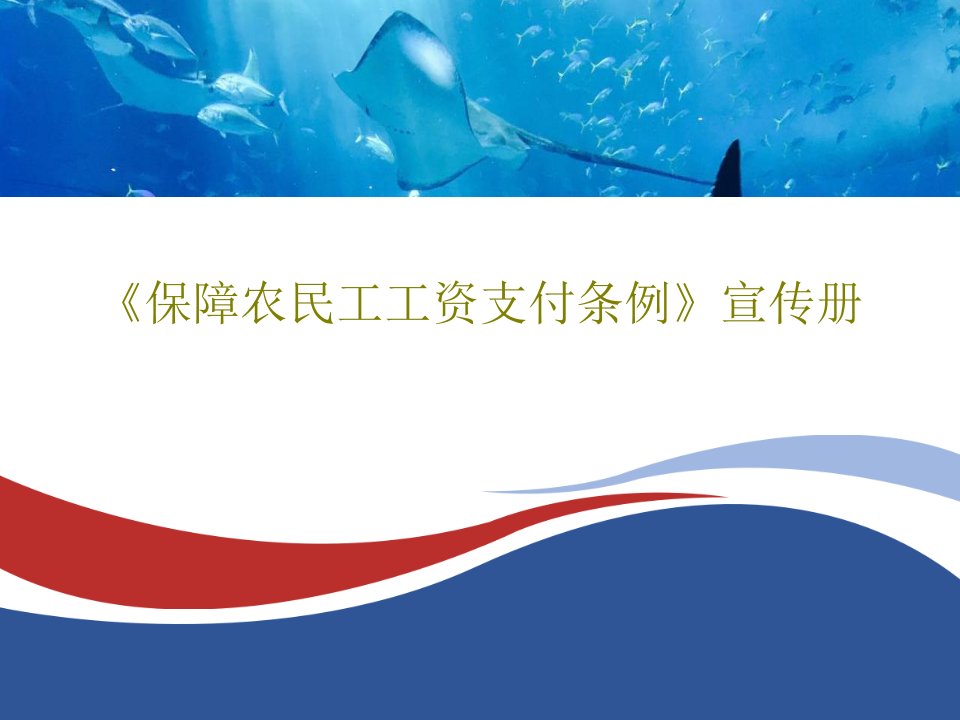 《保障农民工工资支付条例》宣传册PPT共25页