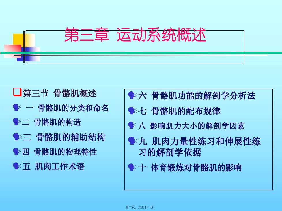 CH3运动系统4骨骼肌的概述