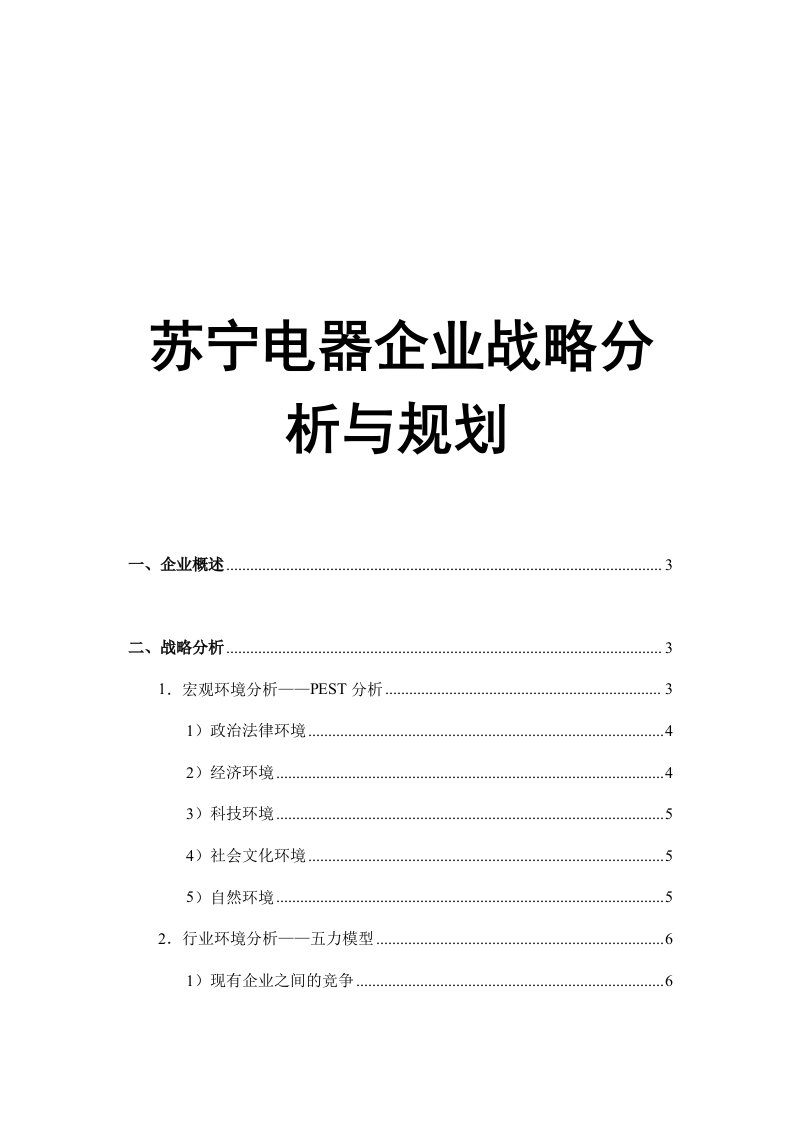 苏宁电器企业战略分析与规划