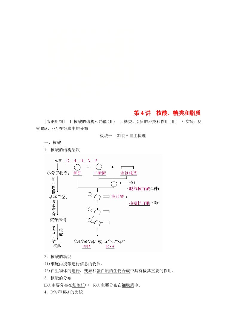 全国版高考生物一轮复习第4讲核酸糖类和脂质培优学案