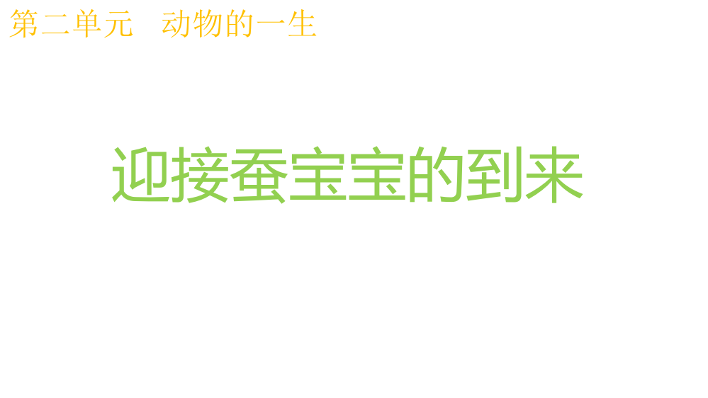 教科版科学三年级下册2.1迎接蚕宝宝的到来