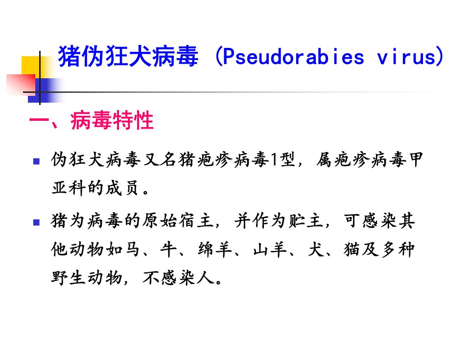 猪伪狂犬疫苗研究进展课件