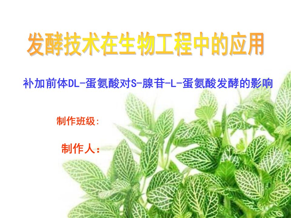 《发酵技术生物工程》PPT课件