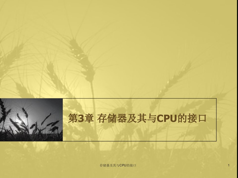 存储器及其与CPU的接口课件