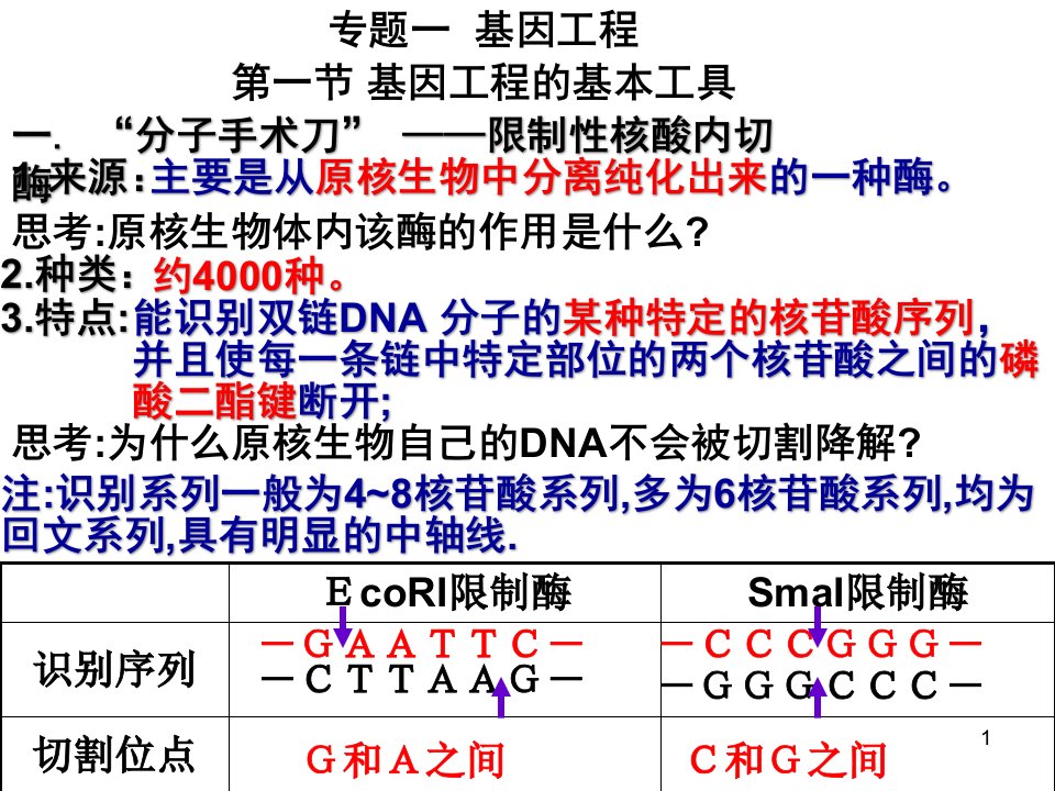 专题一《基因工程》复习ppt课件