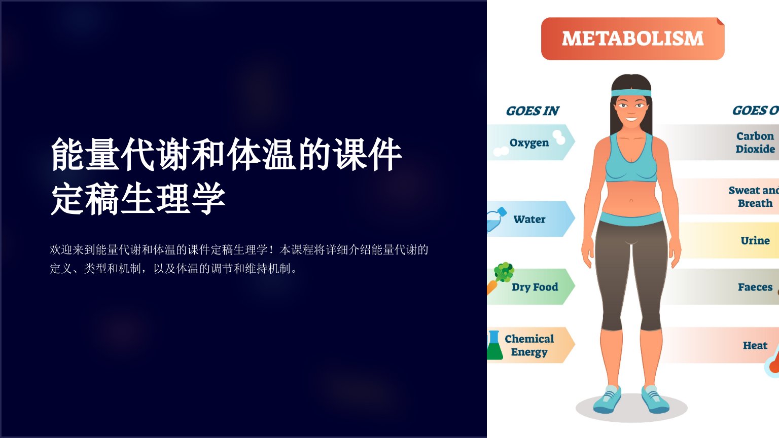 能量代谢和体温的课件定稿生理学