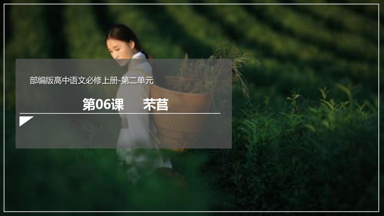 6.1《芣苢》课件