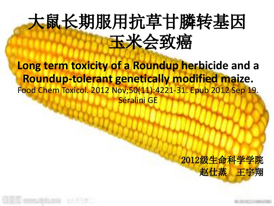 大鼠长期服用抗草甘膦转基因玉米会致癌PPT课件